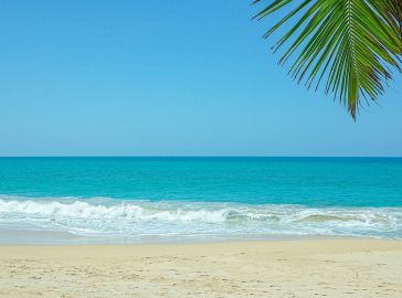 Почивка в Шри Ланка с водач от България