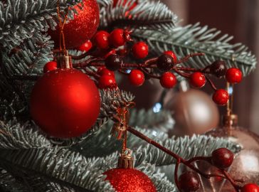 Крайова и първи на Коледните базари 