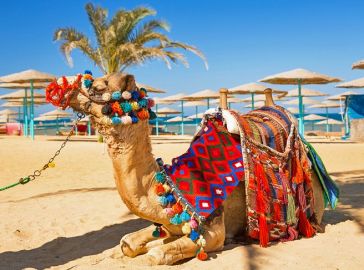 Почивка в Хургада, Египет със собствен транспорт