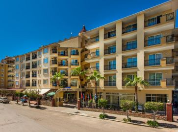 KLEOPATRA ROYAL PALM