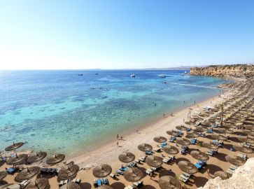 REEF OASIS BEACH RESORT