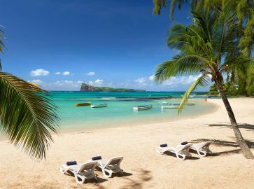 COIN DE MIRE ATTITUDE