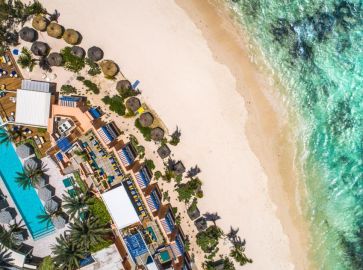 SALT OF PALMAR (ADULTS ONLY 16+)