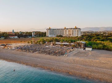 ASTERIA BLOOM SIDE (EX.HEAVEN BEACH)