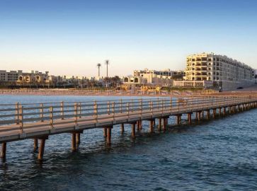 Gravity Sahl Hasheesh Premium