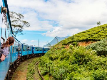 Шри Ланка – остров на древни храмове, чаени плантации и златни плажове с полет от София