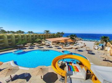 Palm Beach Resort Standard