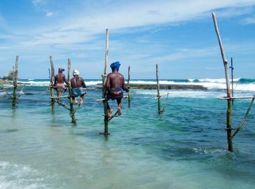 НОВА ГОДИНА 2026 В ШРИ ЛАНКА / ОБИКОЛЕН ТУР С ПОЧИВКА - 8 НОЩУВКИ, 11 ДНИ / ДАТИ: 26.12.2025 - 05.01.2026